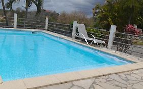 Coconing Logements Studios Et Maisons